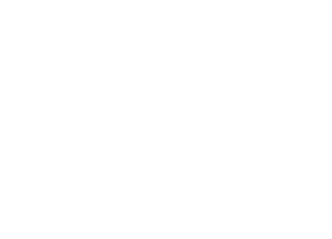 Logo trezortest
